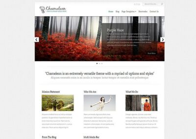 Un sito web camaleontico per cambiare pelle