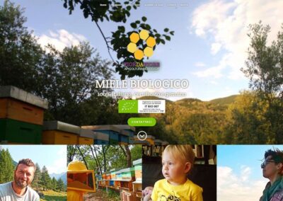 Come promuovere il miele biologico in Italia